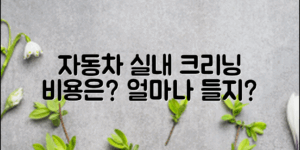 자동차 실내 크리닝 비용, 얼마나 들까?