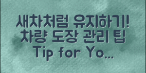 차량도장관리팁으로 새차처럼 유지하세요!
