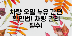 차량오일누유확인법, 간단하게 챙기는 차량 관리 방법!