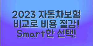 2023년 자동차보험 비교사이트로 비용 절감하는 법
