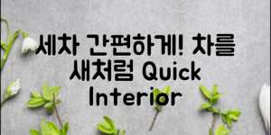 실내세차방법: 간편하고 신속하게 차를 새처럼!