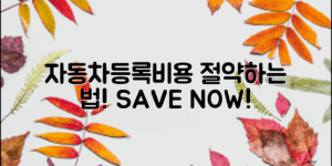 자동차등록이전비용, 이렇게 절약하세요!